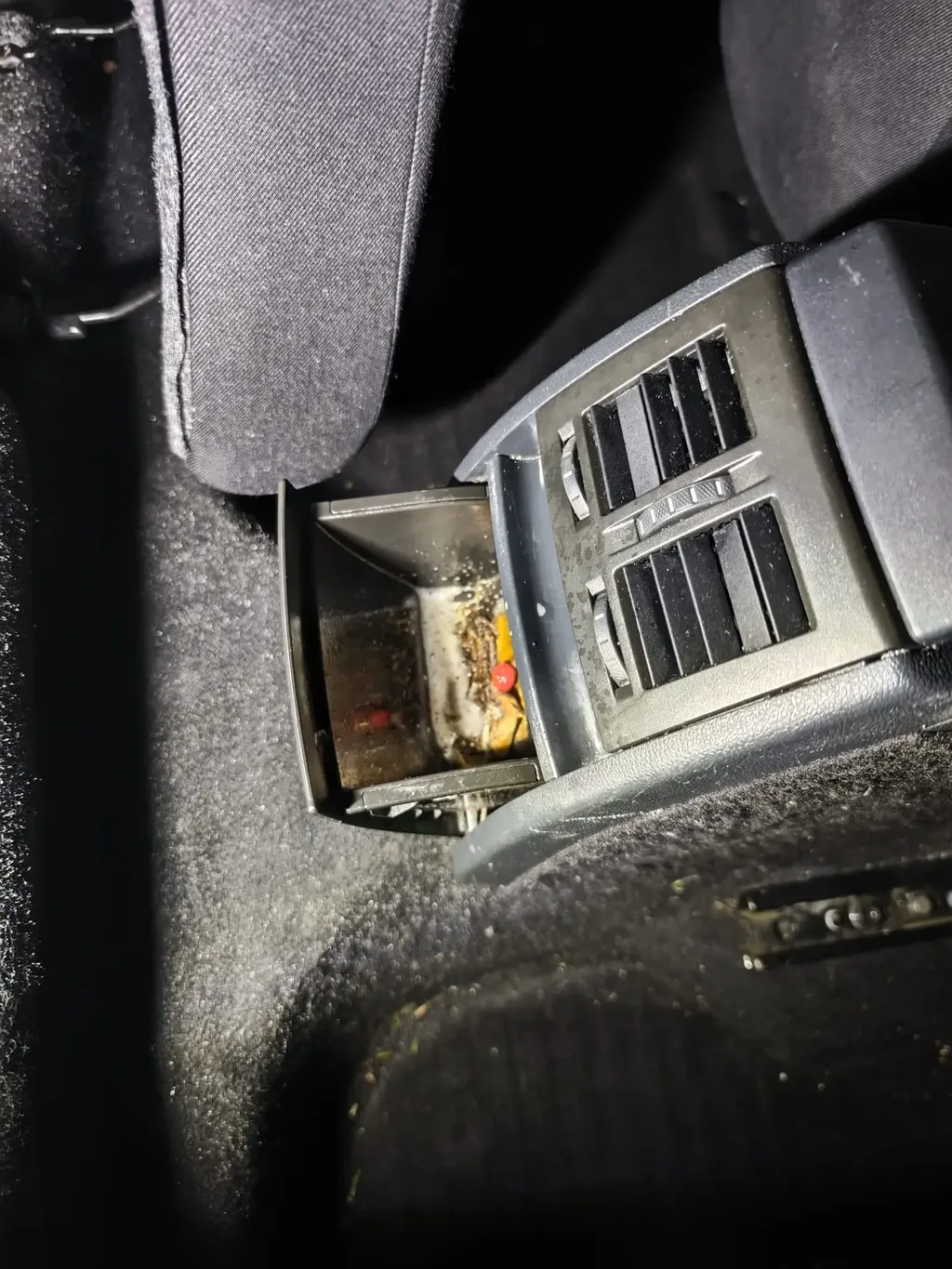 Before paint correction